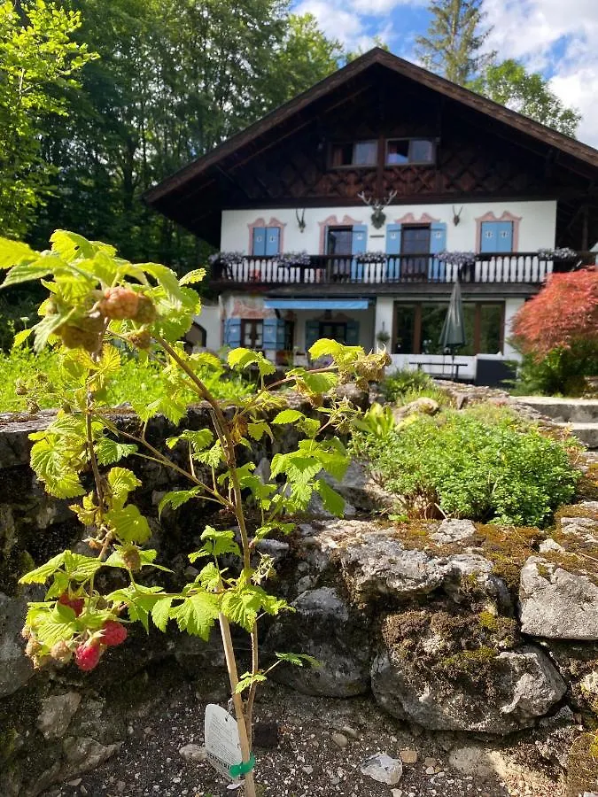 St. Anton Apartment Grainau 0*,  Germany